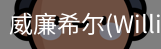 威廉希尔